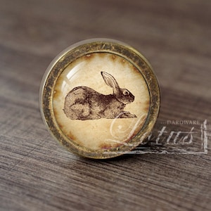 May include: A round, antique gold-toned cabinet knob with a glass insert featuring a vintage illustration of a brown rabbit.