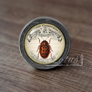 Boticario vintage: perillas de cajón antiguas vintage hechas a mano tira de manijas/perillas de tocador gabinete tiradores / herrajes para muebles