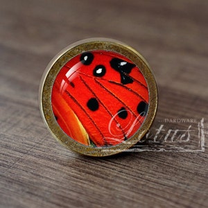May include: A round, brass-colored knob with a red and black butterfly design. The butterfly has black spots on its red wings.