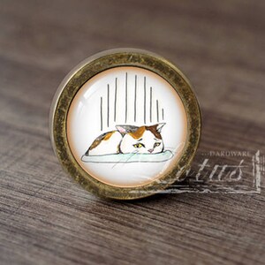 Może przedstawiać: Okrągły, mosiężny gałka do szafki z wkładką szklaną przedstawiającą kreskówkową ilustrację kota z brązowym, białym i pomarańczowym futrem leżącego na zielono-białym łóżku w paski. Kot ma smutny wyraz twarzy i patrzy w dół. Tło ilustracji jest białe z pionowymi czarnymi liniami.