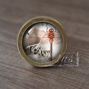 Könnte beinhalten: Ein runder, messingfarbener Schrankknopf mit einem Glaseinsatz, der eine rote Libelle und eine getrocknete Blume zeigt.