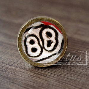 May include: A round, brass-colored cabinet knob with a glass insert featuring a close-up of a butterfly's wings. The butterfly wings are white with black markings and a red accent.
