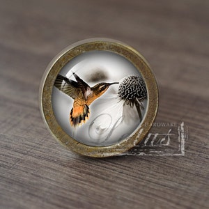 Puede incluir: Pomo de armario redondo con diseño de colibrí. La imagen dentro del pomo presenta un colibrí con plumas naranjas y marrones, cerca de una flor. El pomo tiene un borde de metal color bronce.