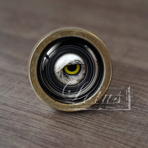 Puede incluir: Un pomo redondo de color latón con un diseño de lente de cámara. La lente está enfocada en un ojo amarillo con plumas blancas, creando un efecto de búho. El texto "CANON" es visible en la lente.