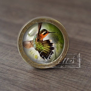 Puede incluir: Un pomo de armario redondo de color latón con un inserto de vidrio que presenta un colibrí colorido en vuelo. El colibrí es verde, naranja y marrón con un pico largo. El fondo es verde y blanco borroso.