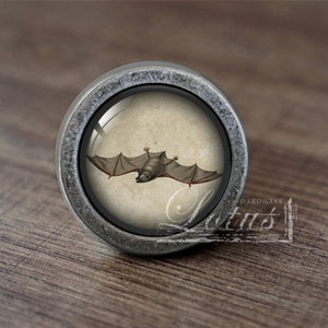May include: A silver knob with a round, glass-like surface featuring a vintage illustration of a bat in flight.