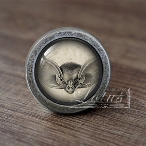 May include: A silver knob with a round, glass top featuring a vintage illustration of a bat with its wings spread.