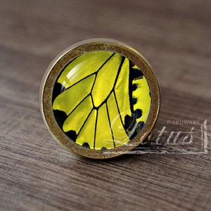 May include: A round, brass-colored cabinet knob with a yellow butterfly wing design. The knob has a rustic, aged look.