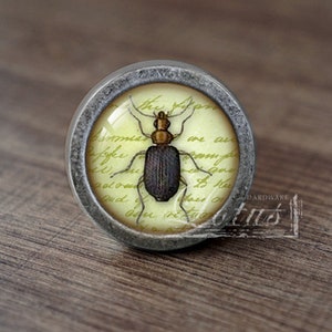 May include: A round, silver-toned cabinet knob with a glass insert featuring a detailed illustration of a beetle on a yellow background with handwritten text. The text reads "The family are all well, we are much the same, except that we are all very happy to hear from you."