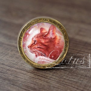 Może przedstawiać: Okrągły, mosiężny gałka do szafki z wkładką szklaną przedstawiającą namalowany obraz rudego kota tygrysiego patrzącego w bok.