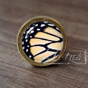 May include: A round, brass-colored cabinet knob with a glass insert featuring a close-up of a butterfly wing. The wing is black, white, and orange with a pattern of stripes and dots.