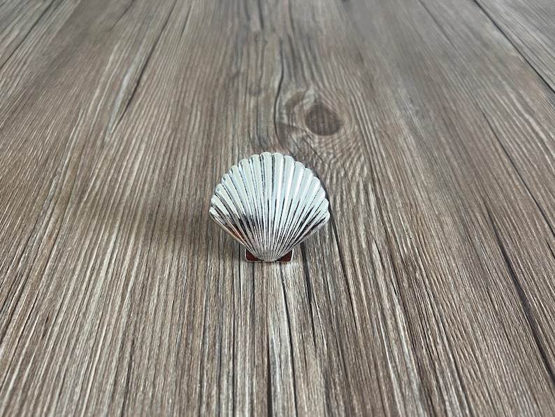 May include: A silver seashell shaped trinket box. The box is closed and has a detailed, realistic design.
