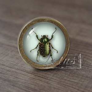 Insect—Handmade Vintage Antique Drawer Knobs Pulls Handles/Dresser Knobs Cabinet Pull handles / Furniture Hardware