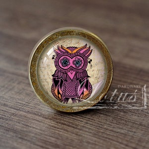 May include: A round, brass-colored cabinet knob with a glass insert featuring a pink and black owl with blue eyes. The owl is surrounded by a vintage-style background with handwritten text.