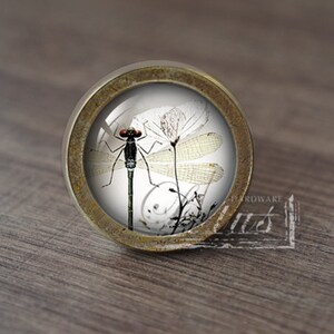 Könnte beinhalten: Ein runder, messingfarbener Schrankknopf mit einem Glaseinsatz, der eine schwarz-weiße Libelle mit roten Augen zeigt. Die Libelle sitzt auf einer weißen Blüte.