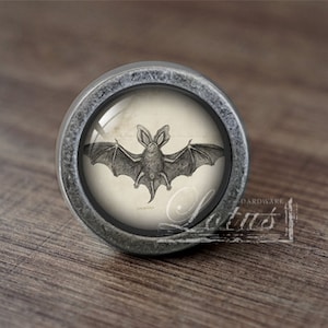 May include: A silver knob with a glass insert featuring a vintage illustration of a bat.