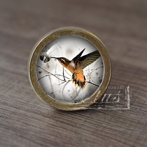 Könnte beinhalten: Ein runder, messingfarbener Schrank-Knopf mit einem Glaseinsatz, der einen Kolibri im Flug zeigt. Der Kolibri ist orange und braun mit einem langen Schnabel und sitzt auf einem Ast. Der Hintergrund ist ein weißes, verschwommenes Bild eines Astes.