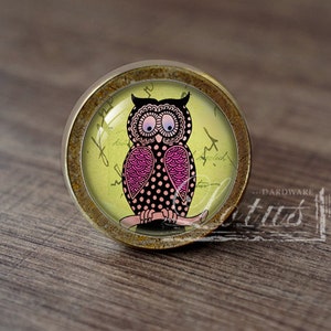 May include: A round, brass-colored cabinet knob with a glass insert featuring a cartoon owl with pink and black patterned feathers on a green background.