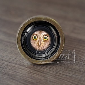 Puede incluir: Primer plano de un objetivo de cámara con la cara de un búho en el centro. El objetivo está rodeado por un anillo de color latón con las palabras "Canon Lens" y "Made in Japan" inscritas en él.