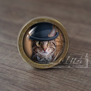 Op de afbeelding: Een ronde, messingkleurige kastknop met een glazen inzetstuk met een kat die een zwarte hoge hoed en een monocle draagt. De vacht van de kat is bruin en wit.