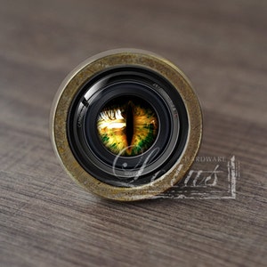 Puede incluir: Primer plano de un objetivo de cámara con un ojo verde y amarillo en su interior. El objetivo está rodeado por un anillo de color latón.