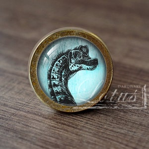 May include: A round, brass-colored cabinet knob with a glass insert featuring a black and white illustration of a dinosaur head on a blue background.