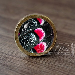 May include: A round, brass-colored cabinet knob with a glass insert featuring a close-up of a butterfly wing with black, white, and pink patterns.