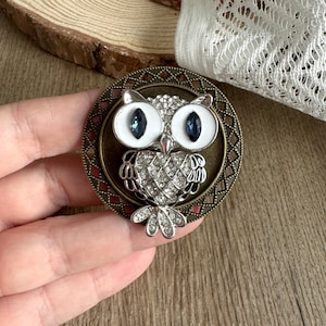 Peut inclure: Broche ronde en forme de hibou, de couleur bronze, avec un design détaillé. Le hibou a des yeux blancs avec des centres bleu foncé, un corps argenté incrusté de strass et un motif de plumes décoratives. La broche est sertie dans un cadre à motifs.