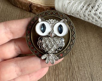 Owl drawer knobs /Owl cabinet / Gothic Home Decor / Animal Shaped drawer knobs / Furniture Hardware,Z-1156