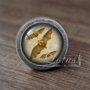 May include: A silver knob with a round, glass top featuring a vintage illustration of three bats flying against a cloudy background.