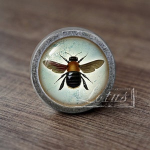 May include: A round, silver-toned cabinet knob with a glass insert featuring a detailed illustration of a bumblebee with yellow and brown markings.