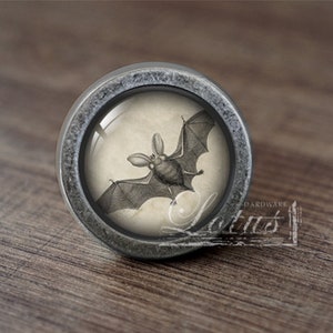 Könnte beinhalten: Ein silberner Knopf mit einem Glaseinsatz, der eine Vintage-Illustration einer fliegenden Fledermaus zeigt.