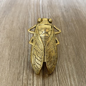 Old gold Beetle drawer knobs / Beetle cabinet / Gothic Home Decor / Animal Shaped drawer knobs / Furniture Hardware,Z-791 image 1