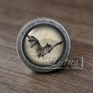 Könnte beinhalten: Ein silberner Knopf mit einem runden Glaseinsatz, der eine Vintage-Illustration einer fliegenden Fledermaus vor einem cremefarbenen Hintergrund zeigt.