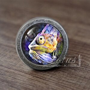 Könnte beinhalten: Ein runder, silberfarbener Schrank-Knopf mit einem Glaseinsatz, der eine farbenfrohe Chamäleon-Illustration zeigt. Das Chamäleon ist in Aquarell-Stil mit Gelb-, Orange-, Lila- und Blautönen dargestellt.