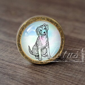 Può includere: Pomello rotondo per armadio con finitura in ottone e inserto in vetro. L'inserto presenta un'illustrazione di un cane seduto in bianco e nero con una palette di colori azzurro chiaro e rosa. Il pomello è posto su una superficie di legno.