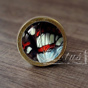 May include: A round, brass-colored cabinet knob with a glass insert featuring a close-up of a butterfly wing with red, white, and blue patterns.