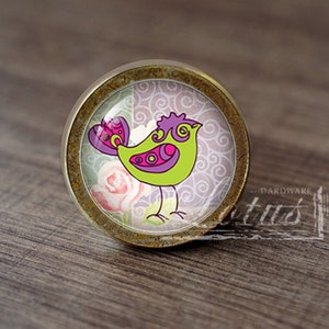 Può includere: Un pomello decorativo per armadietto con un design a uccello colorato. L'uccello è verde con accenti viola e rosa, su uno sfondo floreale e a spirale. Il pomello ha un bordo metallico color bronzo.