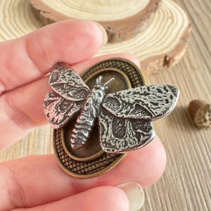 skull Butterfly drawer knobs /Bronze/ Gothic Home Decor /Skull Furniture / Furniture Hardware,Z-1164