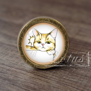 May include: A circular cabinet knob with an antique brass finish. The knob has a glass insert with a cartoon cat illustration. The cat is orange and white with a grumpy expression. The knob is on a wooden surface.