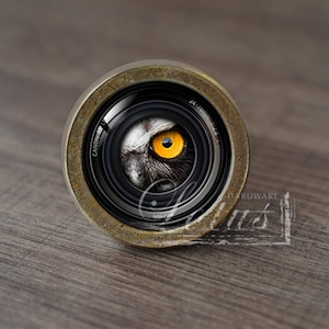 Puede incluir: Primer plano de un objetivo de cámara con un ojo de búho amarillo mirando a través del centro. El objetivo está rodeado por un anillo de color latón.