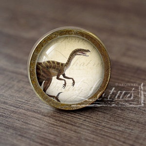 May include: A round, brass-colored cabinet knob with a glass insert featuring a vintage illustration of a dinosaur. The dinosaur is brown and yellow with a long neck and tail. The knob has a rustic, aged look.