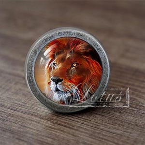 Op de afbeelding: Ronde, zilverkleurige kastknop met een gedetailleerde afbeelding van een leeuwenkop. De leeuw heeft een vurige oranje en rode manen en doordringende gele ogen. De knop staat op een houten oppervlak.