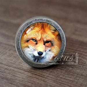 Könnte beinhalten: Ein silberfarbener Schrankknopf mit einem runden Glaseinsatz, der ein Nahaufnahmebild eines Rotfuchses zeigt.