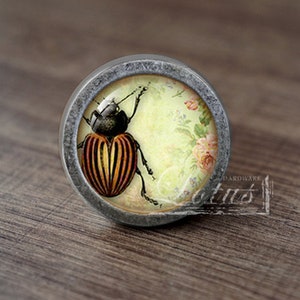 Insect—Handmade Vintage Antique Drawer Knobs Pulls Handles/Dresser Knobs Cabinet Pull handles / Furniture Hardware