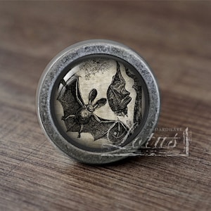 May include: A silver knob with a glass insert featuring a vintage illustration of two bats. The knob is perfect for adding a touch of gothic charm to any home decor.