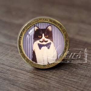 Może przedstawiać: Okrągły, złoty gałka do szafki z czarno-białym kotem w fioletowym krawacie. Kot znajduje się na fioletowym i białym paskowanym tle.