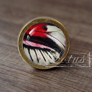 May include: A round, brass-colored cabinet knob with a glass insert featuring a red, white, and black butterfly wing pattern.