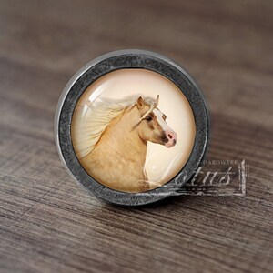 Op de afbeelding: Een ronde, zilverkleurige kastknop met een glazen inzetstuk met een close-up afbeelding van een palomino paard met een witte manen en staart.