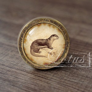 May include: A round, brass-colored cabinet knob with a glass insert featuring a vintage illustration of an otter on a beige background.